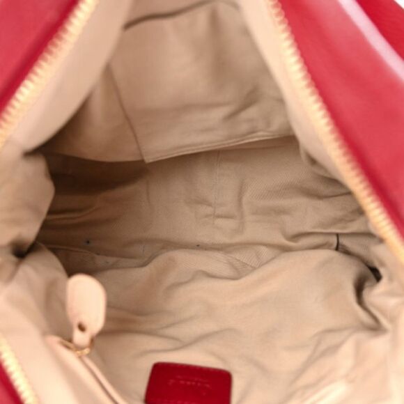 Chloe Calfskin Medium Paraty Acerola Bag - Picture 6 of 11